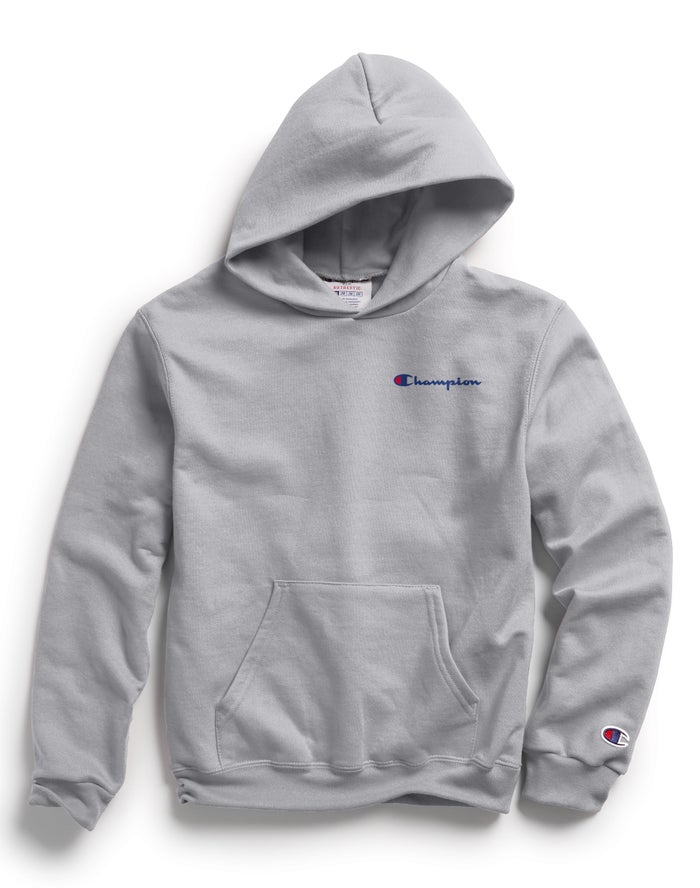 Champion Double Dry Script Logo Hoodie Meisjes - Grijs - Belgie 3915ANLMR